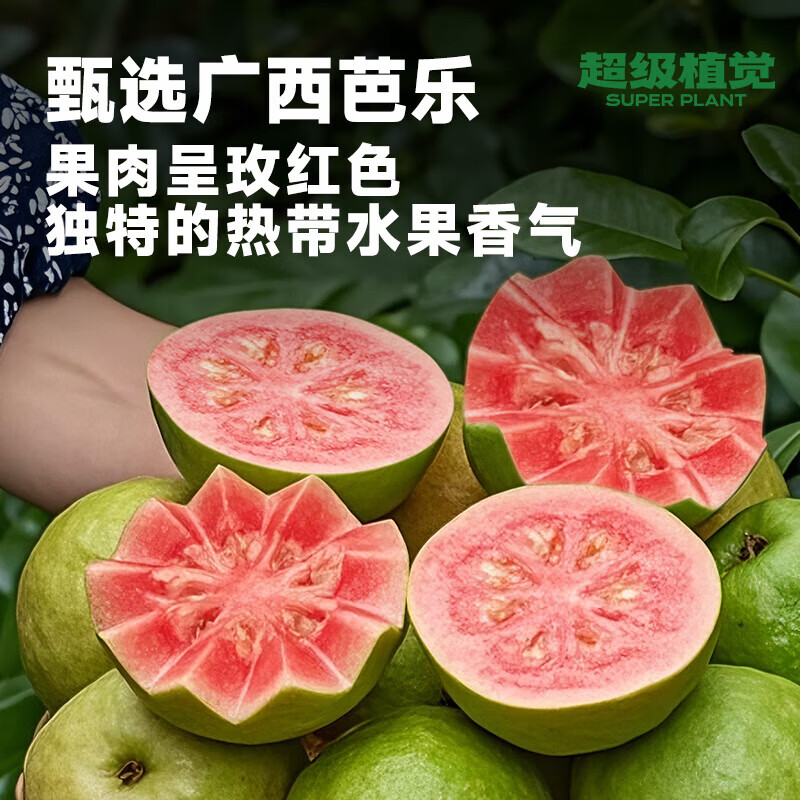 超级植觉 SUPER PLANT超植季果汁100%苹果汁葡萄汁芭乐汁风味0脂肪饮料即饮180ml*10袋 红心芭乐汁180g*10袋