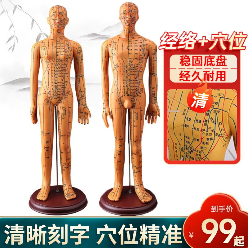 穴位中医全身十二经络铜人模特小人扎针练习小皮人数字定位超清晰刻字