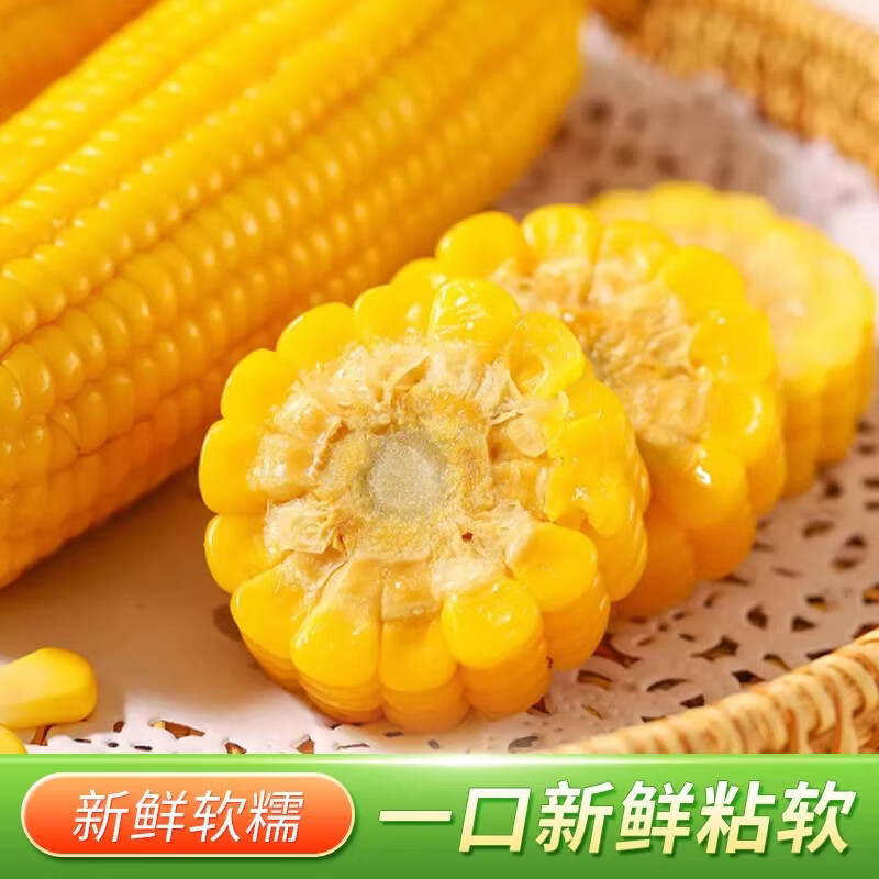 佟创东北黄糯玉米棒 新鲜甜糯玉米棒 代餐轻食真空包装黏粘玉米 糯玉米约12棒 净重5斤【囤货优选】
