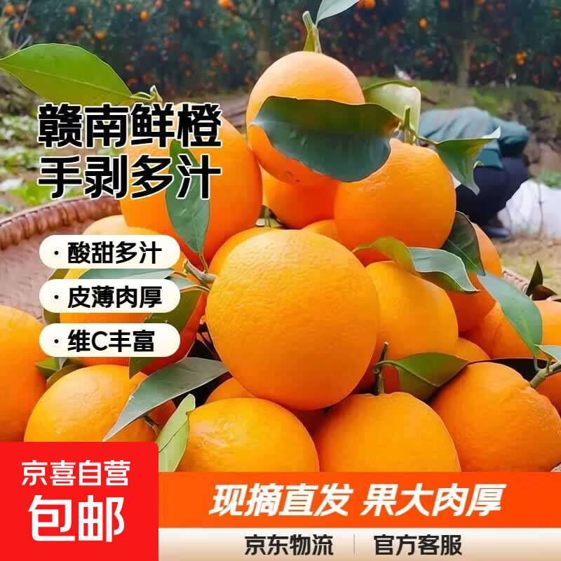 正宗赣南脐橙新鲜橙子当季水果现摘赣州脐橙手剥甜橙多汁产地直发 带箱彩5斤装大果