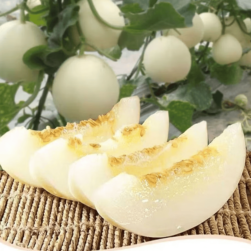 佑嘉木陕西阎良甜瓜 净重4.5斤  整箱新鲜水果源头直发包邮 4.5斤净重