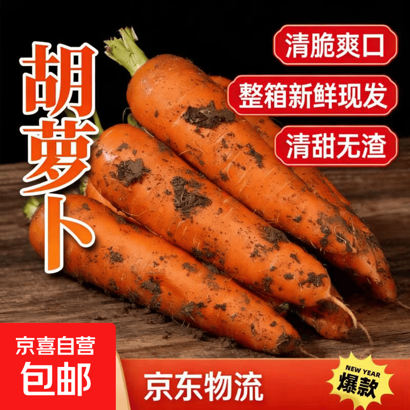 2026新鲜现挖胡萝卜沙地胡萝卜榨汁凉拌沙拉蔬菜生鲜超市买菜早餐 【整箱2斤】 新鲜带泥胡萝卜