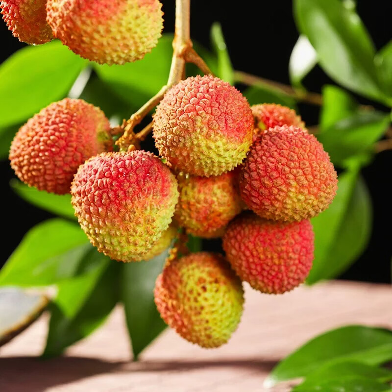 果跃霖海南妃子笑荔枝【JD顺丰多地次日达】新鲜现摘头茬水果送礼 5斤甄选果【蕞多人买】净重4斤 甜 | 单果13-18g