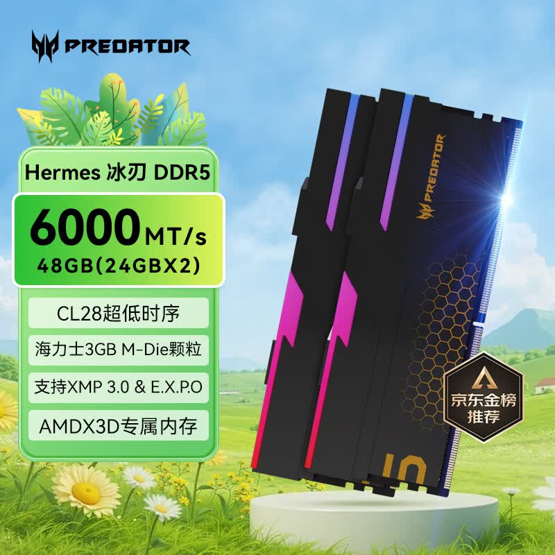 宏碁掠夺者（PREDATOR）48G(24G×2)套装 DDR5 6000频率 台式机内存条 Hermes冰刃系列 RGB灯条(C28) 石耀黑 AI电脑配件