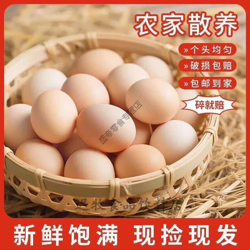 农家散养新鲜土鸡蛋农家虫草蛋粉壳笨鸡蛋整箱批发 整箱单枚 10枚农家鲜鸡蛋约405g