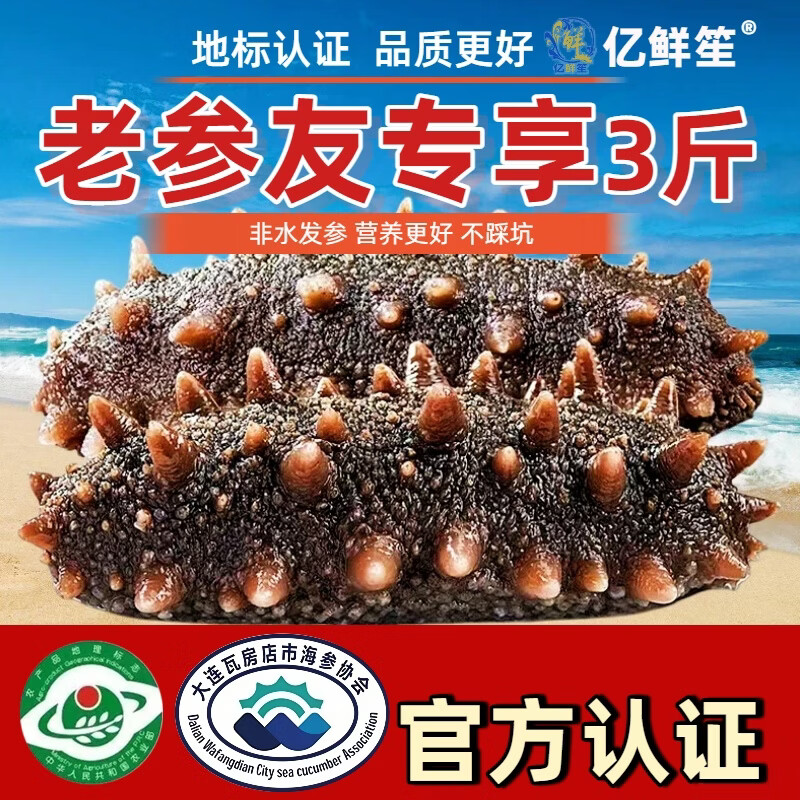 亿鲜笙鲜蒸即食海参鲜活加工佛跳墙食材大连辽刺参中老年滋补高营养海参 4-8只/斤【特大地标认证辽参】 2斤装