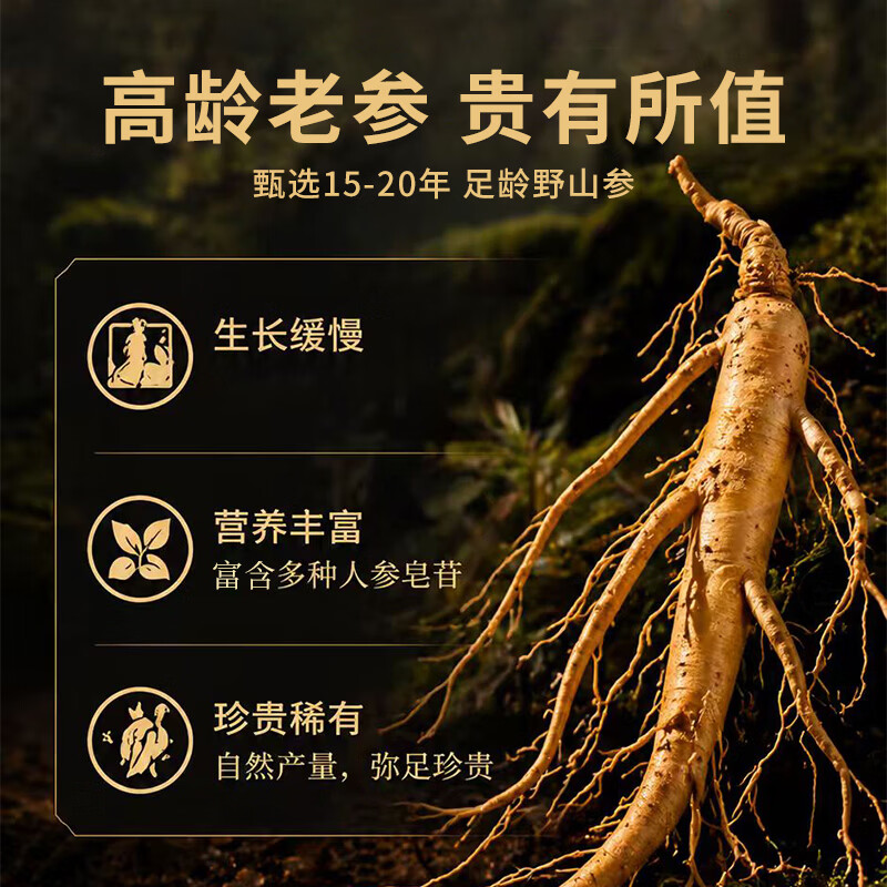 南京同仁堂人参粉野山参粉礼盒抗提神疲劳 研磨成粉礼盒老年人营养品礼盒 15年-野山参粉 30瓶*1盒