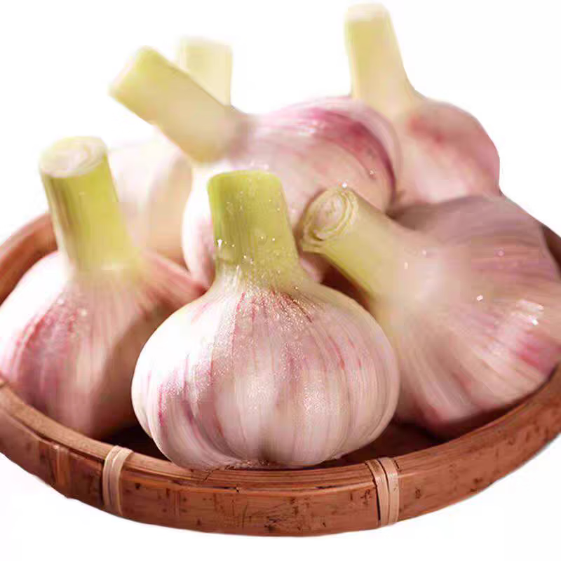 2026年紫皮大蒜新鲜湿蒜 蒜香十足 生鲜蔬菜 净重3斤