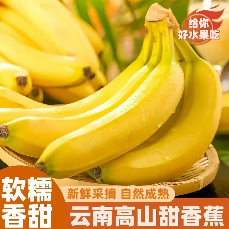 正鲜季（ZHENGXIANJI）云南高山香蕉当季现摘新鲜水果大芭蕉小米蕉甜香蕉整箱自然熟 净重5斤