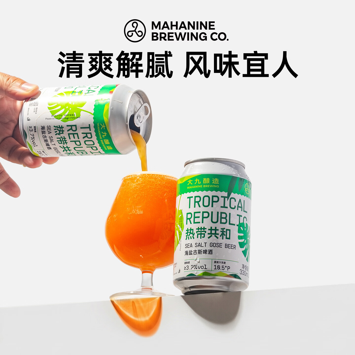 大九 热带共和海盐古斯酸啤国产精酿啤酒柠檬西柚百香果啤鲜啤2罐装