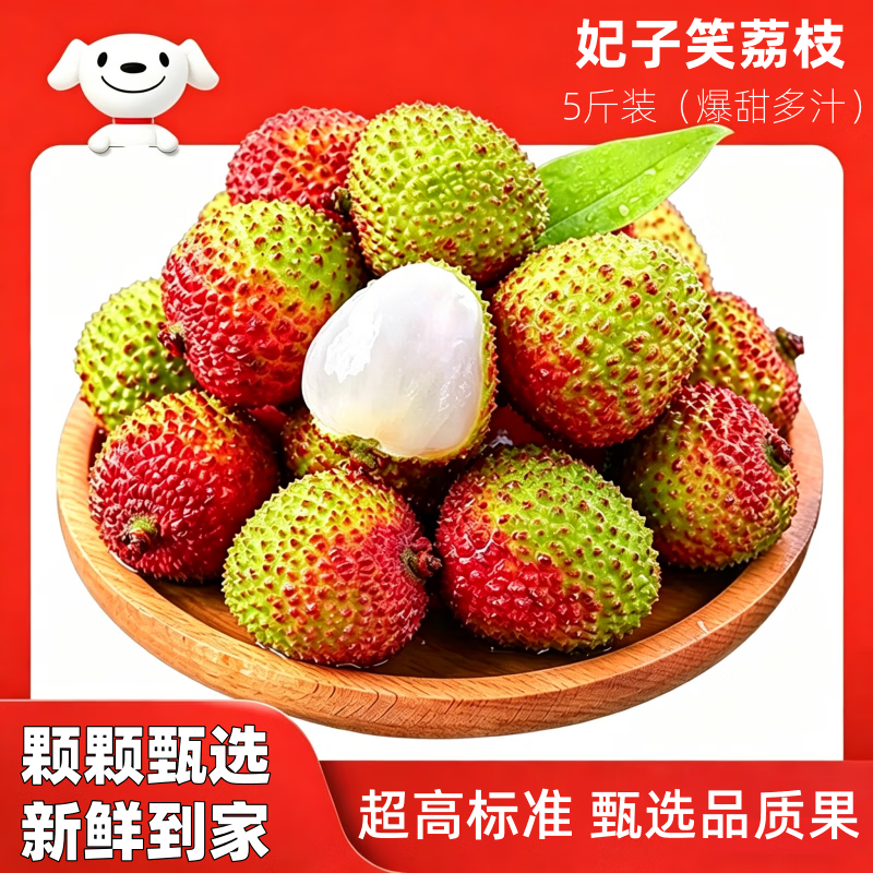 裕琼荔枝妃子笑荔枝【JD-多地次日达】当季现摘新鲜荔枝生鲜水果送礼 5斤精选果丨净重4.5斤装丨单果13-18g