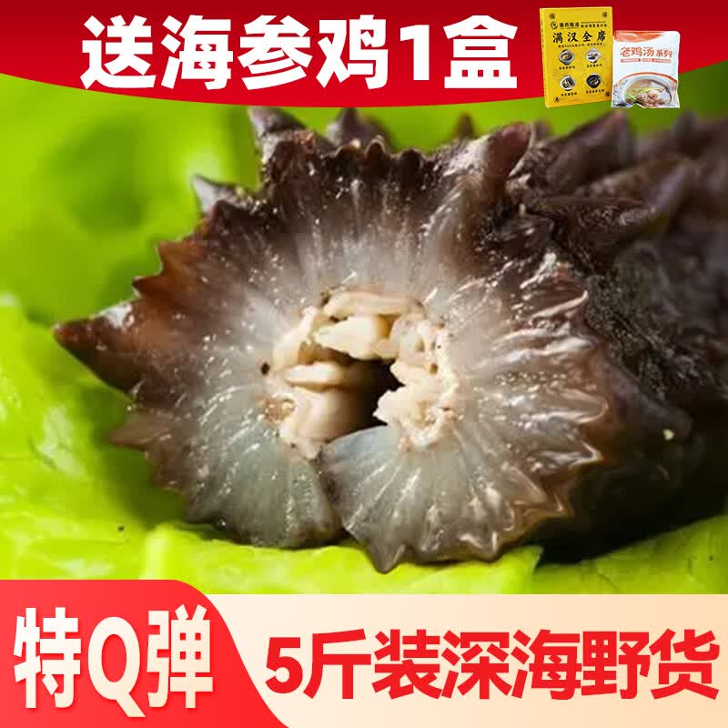 亿鲜笙野货即食海参不包冰大个头肉厚筋道独立包装开袋即食深海刺参营养 2500g（送海参鸡1盒） 13-20只/斤