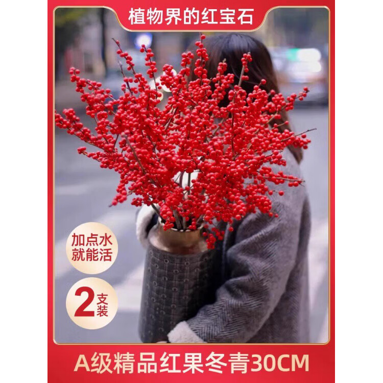 云格丽北美冬青盆栽水培鲜切室内客厅桌面耐寒好养红果真花年宵花卉绿植 进口A级红果冬青30cm_2支_【枝枝爆果】带挂件 不含盆