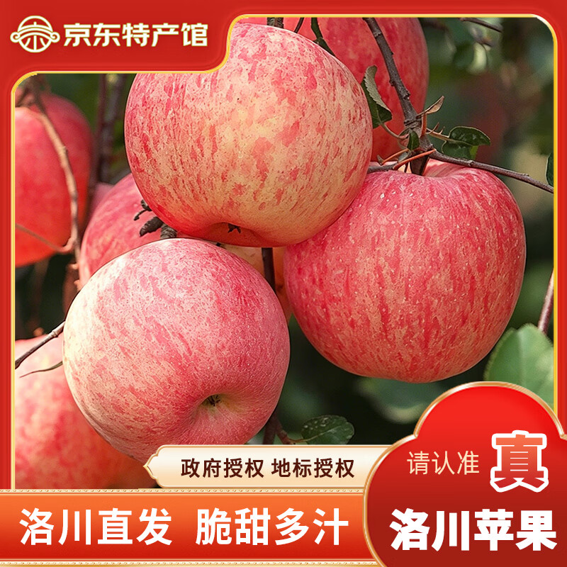洛川红富士苹果合集：小果26.9元/4.5斤起，源头直发新鲜到家