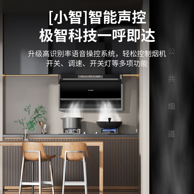 Haotaitai油烟机家用抽油烟机顶侧双吸抽大吸力自清洁语音变频一级能效吸油烟机炉灶套装 SJ80烟机【语音智控+1000Pa超大静压】