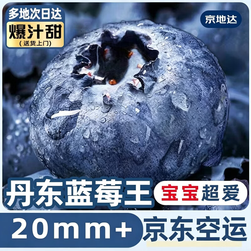 京地达空运丹东蓝莓8盒*120g净重1.9斤单果20mm+新鲜水果源头直发包邮