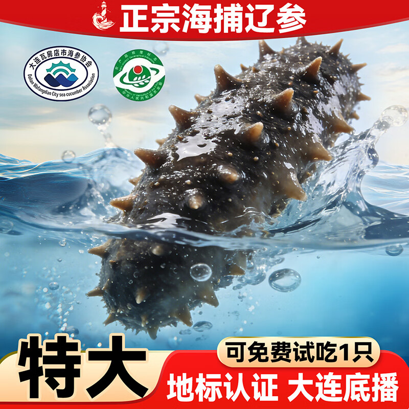 亿鲜笙鲜蒸即食海参鲜活加工佛跳墙食材大连辽刺参中老年滋补高营养海参 4-8只/斤【特大地标认证辽参】 2斤装