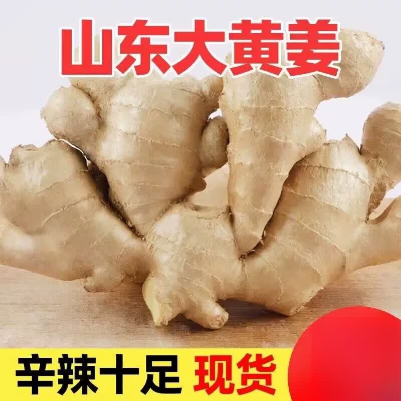 胖东来代购生姜山东窖藏大黄姜5斤新鲜老姜沙姜月子姜农家现挖当季蔬菜 2500g