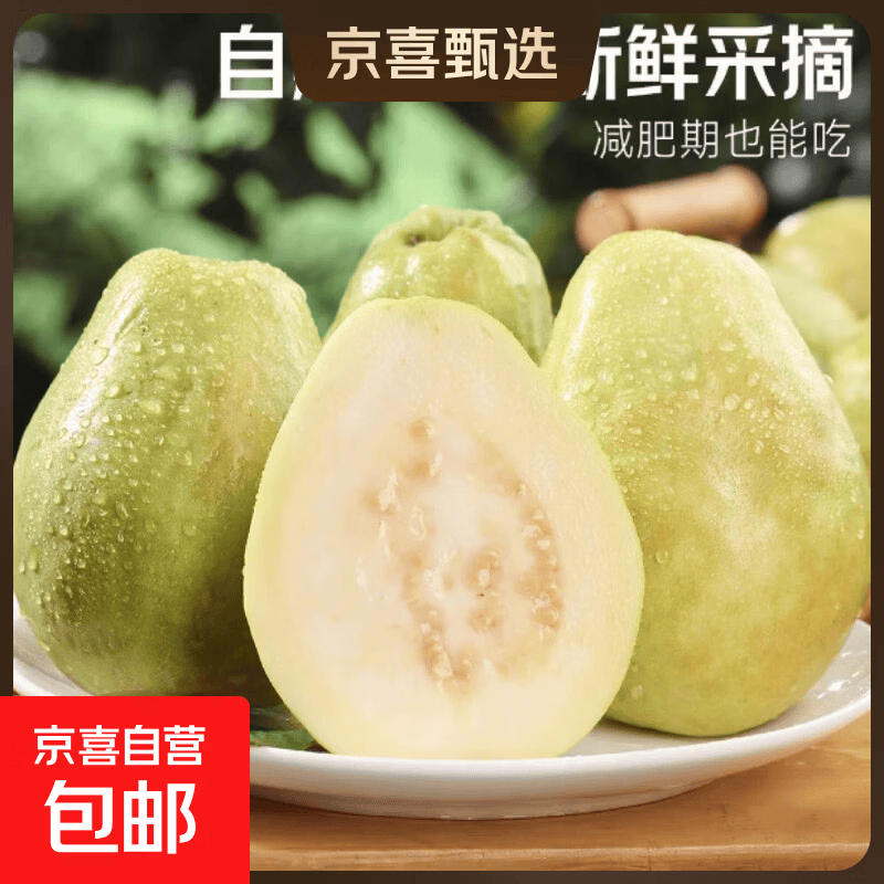 精选广西白心番石榴珍珠芭乐脆甜软糯特产南方水果整箱单果 白心芭乐带箱5斤100g+净重4.5斤