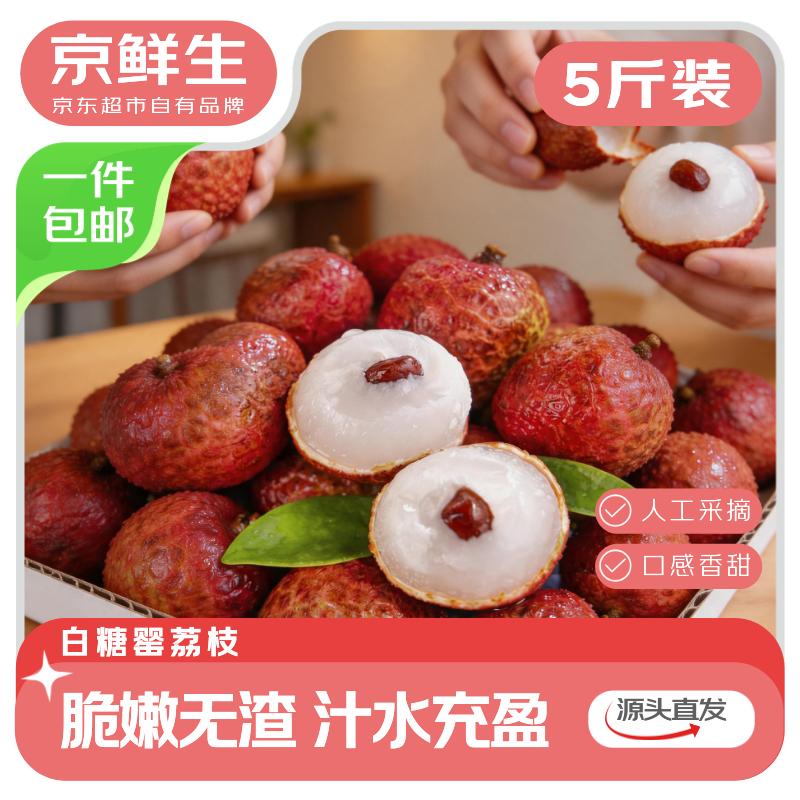 京鲜生 广东白糖罂荔枝 净重5斤 单果14g+新鲜水果 源头直发 包邮