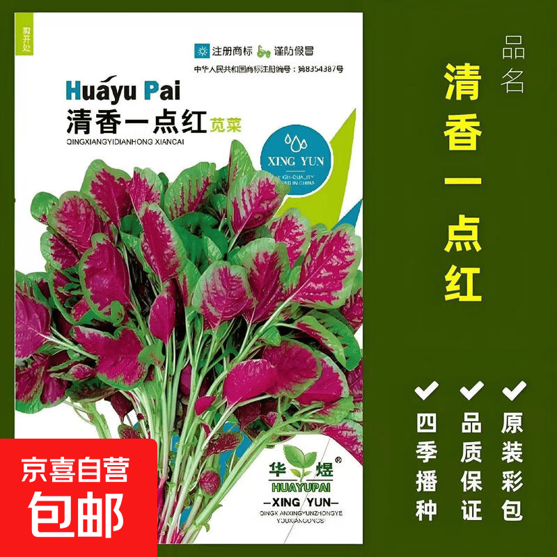 新品一点红苋菜种子圆叶红苋菜籽春夏秋苋菜种孑四季蔬菜种子批发 华煜一点红苋菜种子 1包【约1000粒】