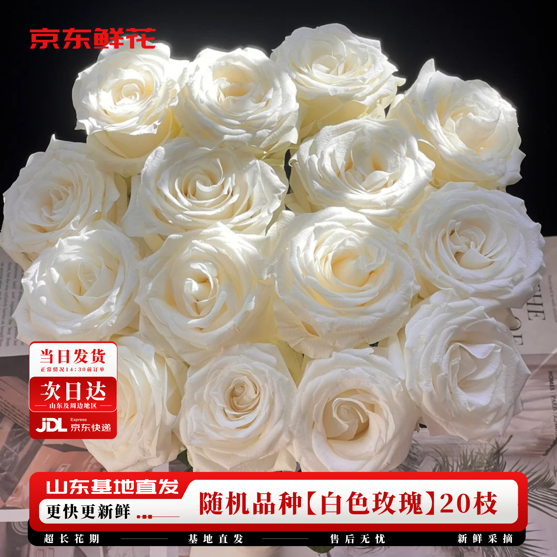 京东鲜花玫瑰花白色随机20枝无土栽培枝长50-55cm礼品花新鲜采摘源头直发