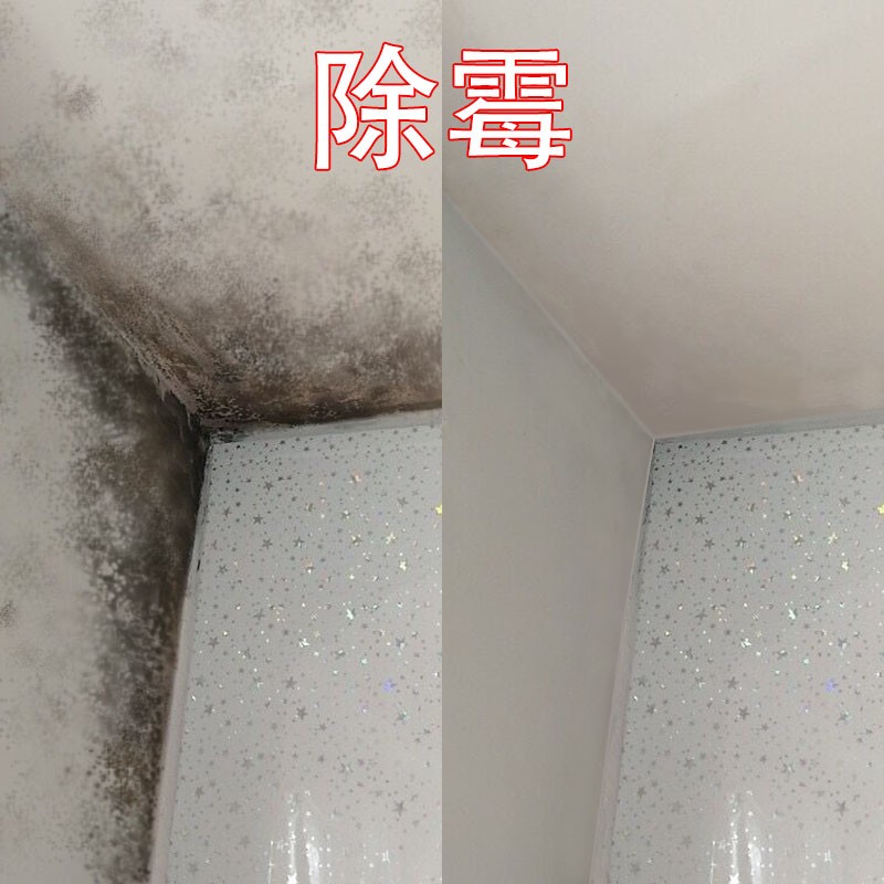 美瓷嘉除霉剂白墙面墙体墙壁除霉去污霉斑清除剂家具防发霉