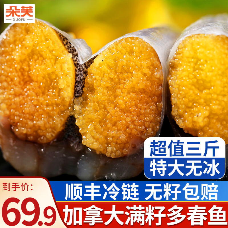 朵芙满籽多春鱼  特大多籽多春鱼净重 约30条/斤多子鱼烧烤食材海鲜 【3斤】满籽特大号13-15cm