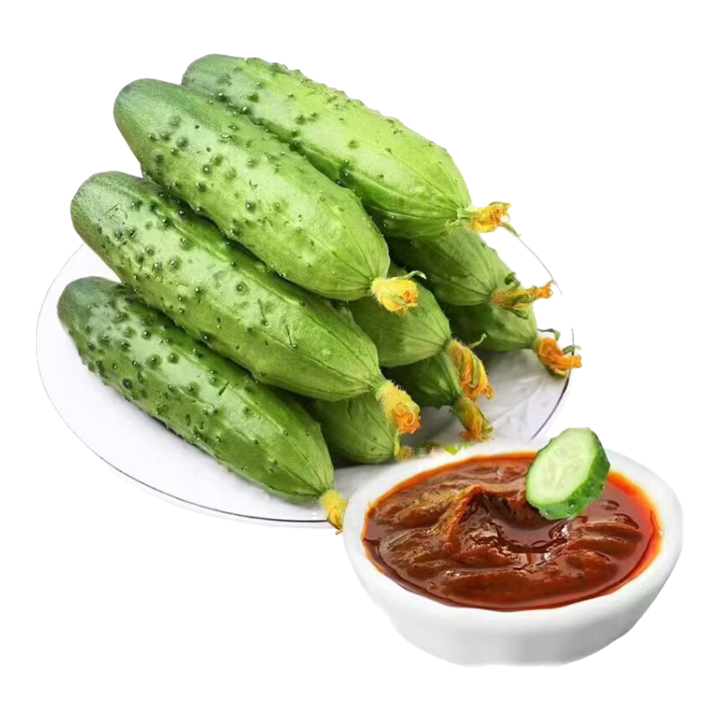 【减脂轻食】新鲜现摘东北旱黄瓜脆嫩可生吃脆嫩多汁黄瓜味道浓 山东旱黄瓜带箱五斤装 4.5斤 净重