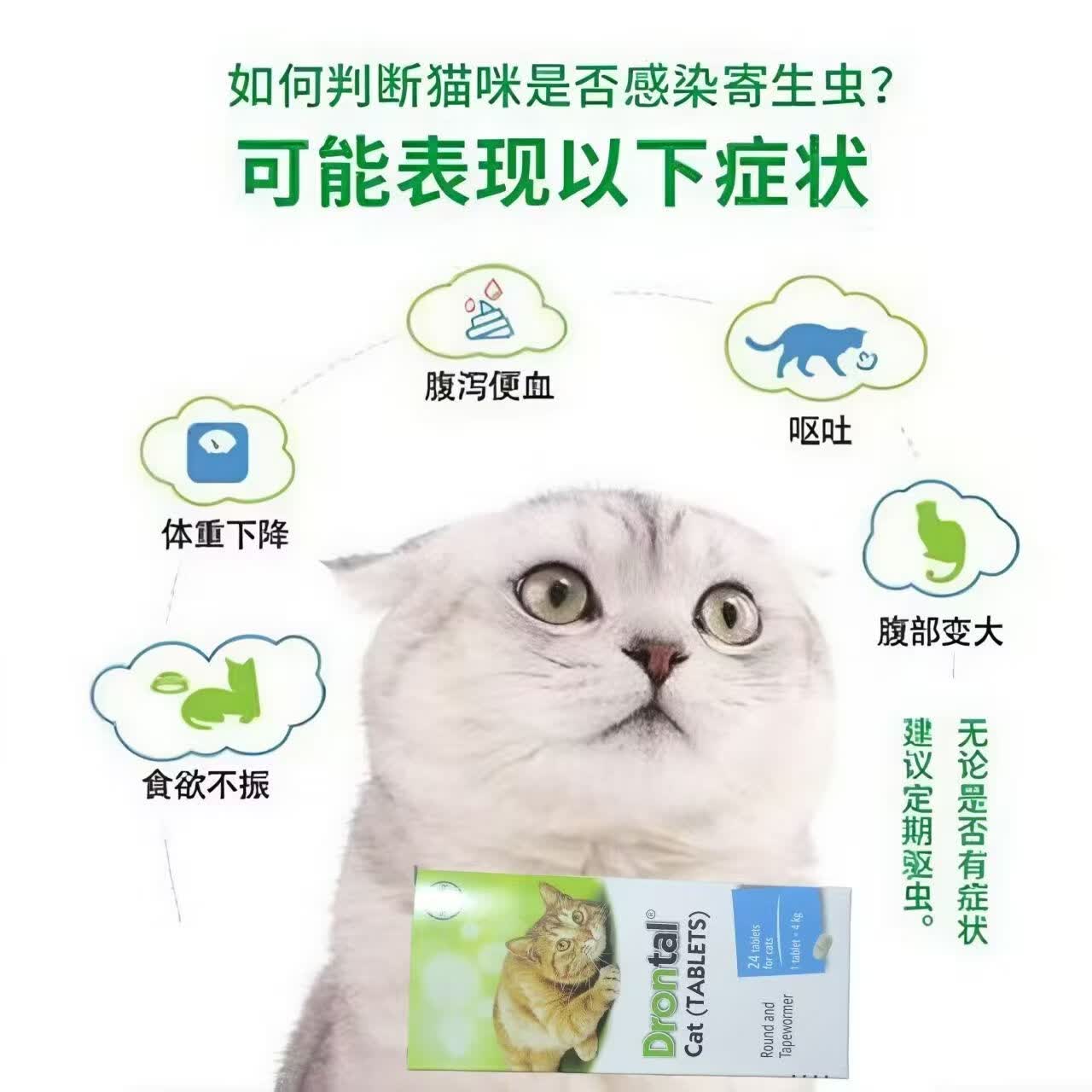 Bepanthen德国进口拜宠清猫咪口服体内驱虫绦虫蛔虫绦虫 八粒拆售[不带盒］ 8粒*1板