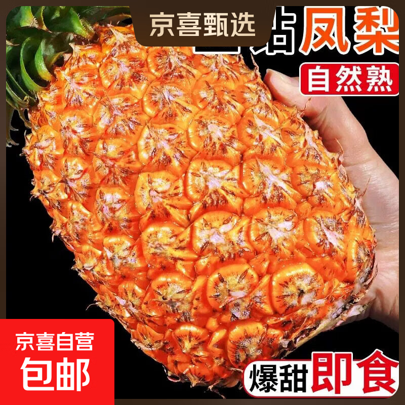 正宗海南金钻凤梨新鲜现货手撕大果巨大号多汁不需挖眼水果包邮 金钻凤梨1个装【小果】