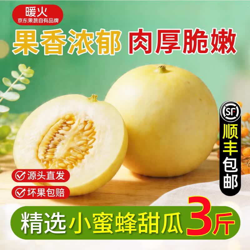暖火【顺丰包邮】山东小蜜蜂甜瓜头茬香瓜小蜜罐甜瓜应季水果源头直发 【家庭共享净重3斤】家庭送礼暖心款 中果100g以上 【顺丰包邮】