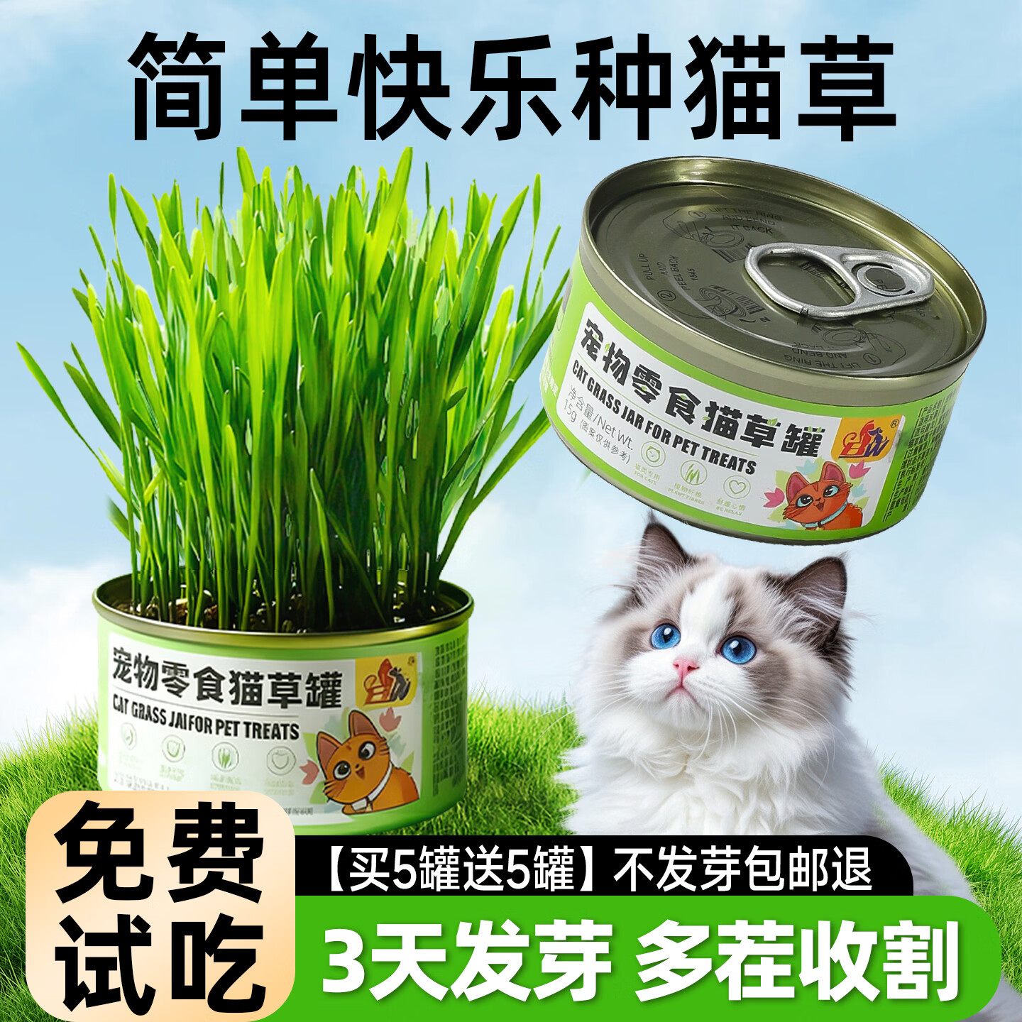 助宠猫草罐头懒人浇水即长猫草罐猫咪零食用品盆栽小麦种子排毛化毛球 【3罐】懒人猫草