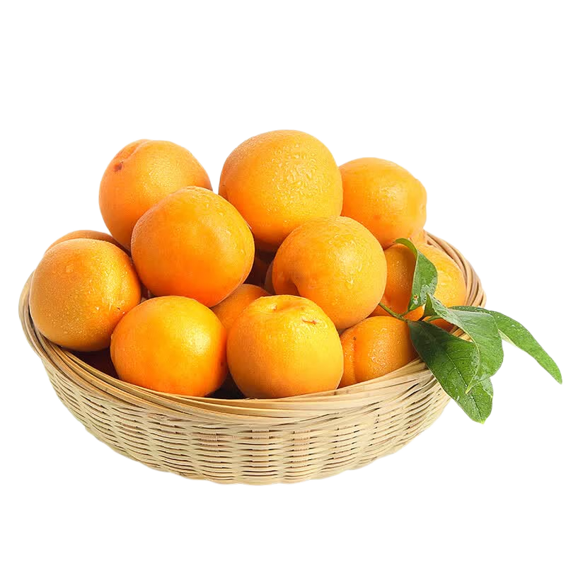���ڲ��������� ��������Ӿ���4.5�ﵥ��20g+ ��������ˮ��Դͷֱ��93.56Ԫ��4��(��23.39Ԫ/��)