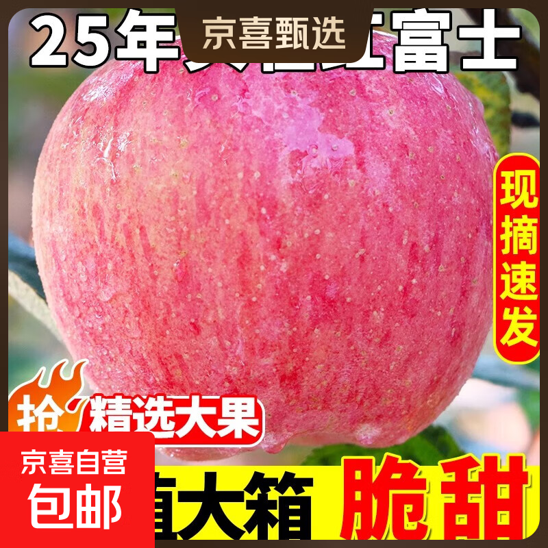 红富士苹果水果新鲜整箱当季脆甜丑平果应季5小冰糖心斤一级 带箱1斤净重0.6斤2-4个果
