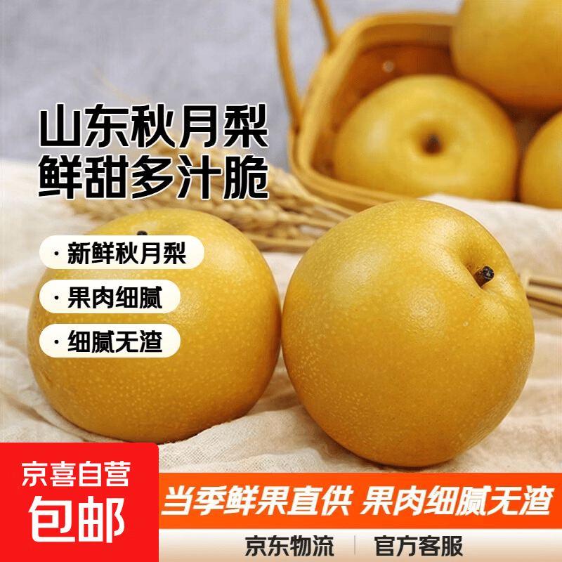 京喜加羊脂秋月梨冰糖蜜梨时令当季新鲜水果中翠梨-新11 带箱4斤（单果170g+）净重3.5斤山东秋月梨