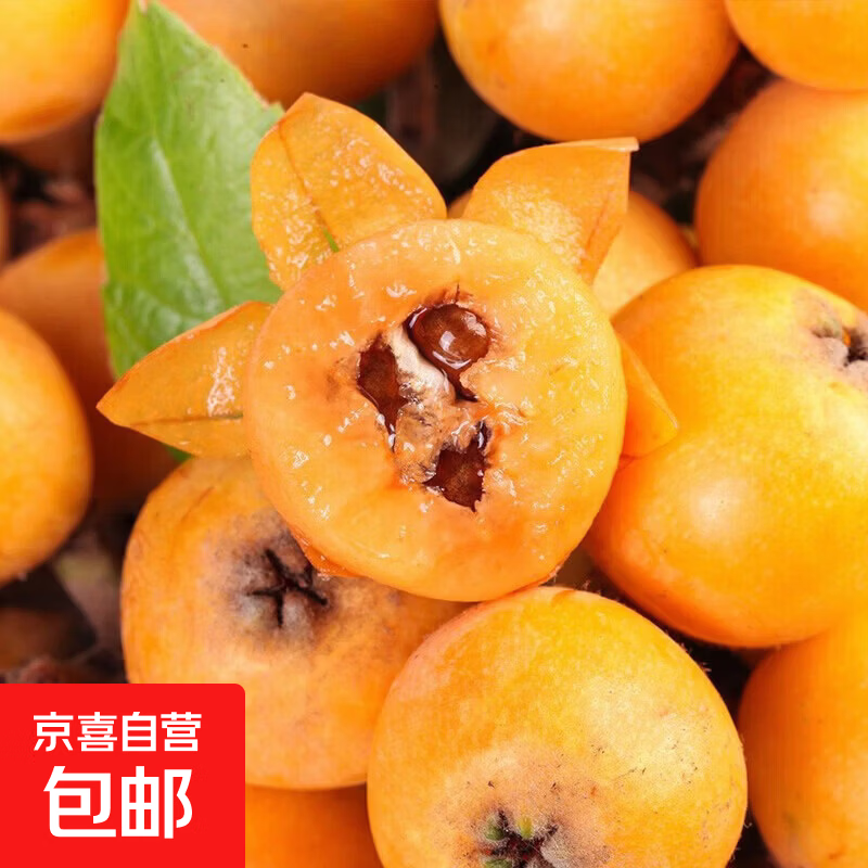 四川攀枝花米易枇杷高山甜枇杷现摘应季新鲜水果生鲜 1.8斤装 净重 小果15g+