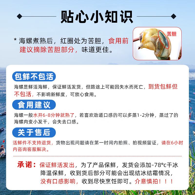 皮小鲜【鲜活发货】青岛大海螺鲜活1500g海鲜贝类生鲜 鲜活海螺肉送芥末 超大海螺 1500g （共9-12只）
