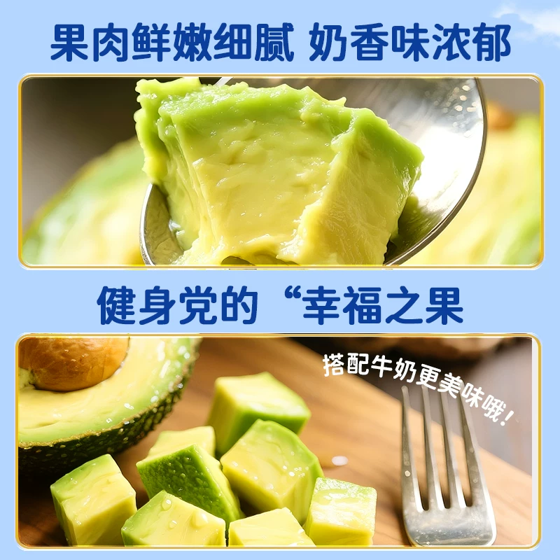 御红橙绿秘鲁进口哈斯牛油果幼儿辅食宝宝代餐新鲜水果鳄梨整箱批发价包邮 【单果净重50-70g】9个装 宝宝果