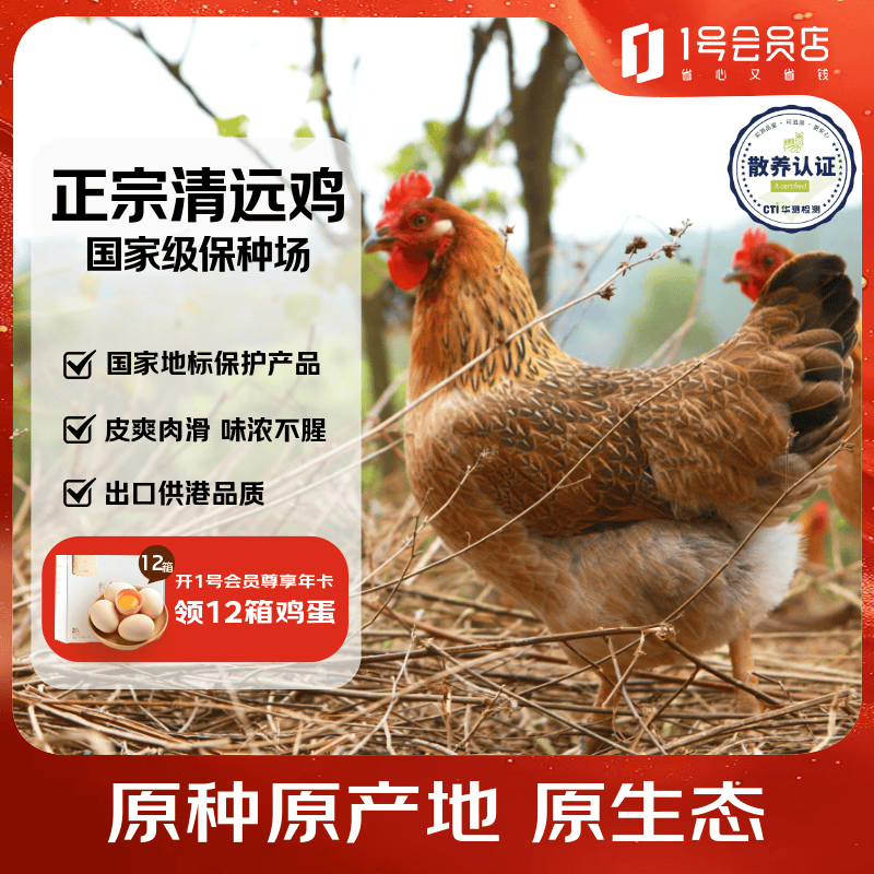 1号会员店（One's Member） 纯种无抗清远鸡 生态散养168天供港土鸡走地鸡鸡肉 900g