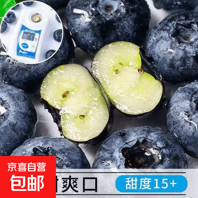 蓝莓鲜果70g*8盒 19.9元 - 折送网