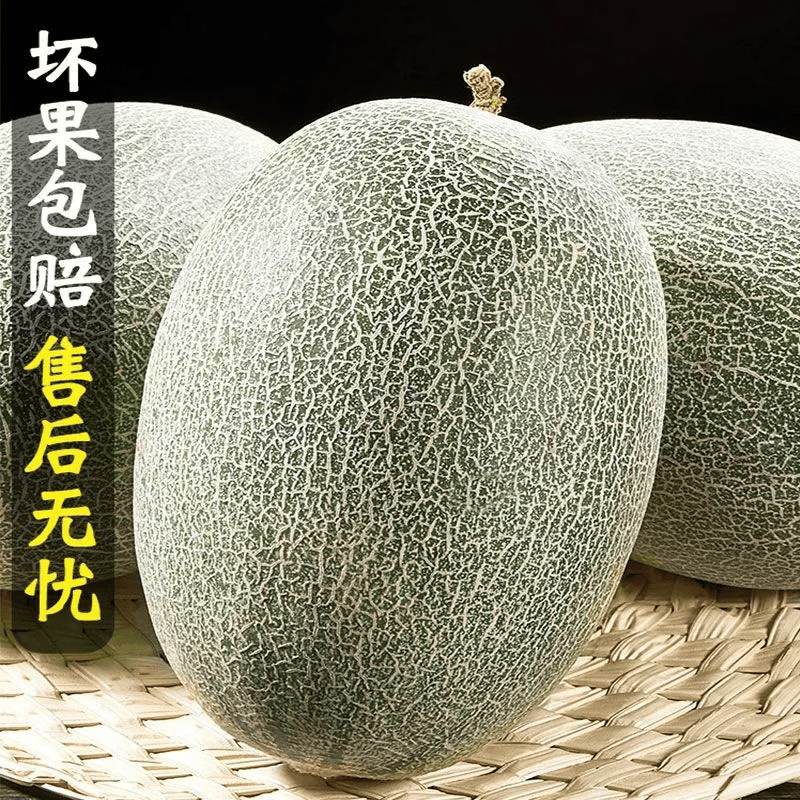 京农超正宗海南哈密瓜西州蜜薄皮新鲜现摘晓蜜应季水果整箱蜜瓜 5斤装 净重4.5斤，2个装（热销款）