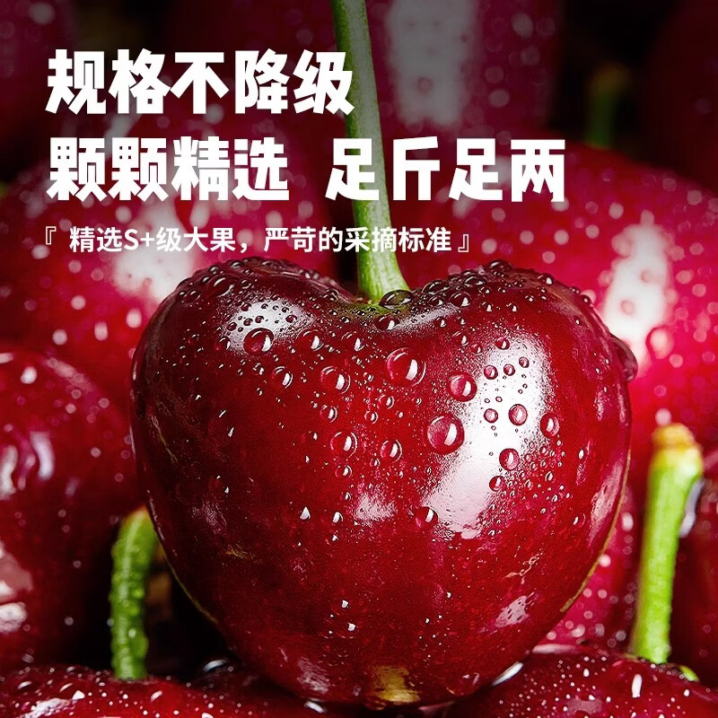 果跃霖樱桃山东大樱桃 国产车厘子时令新鲜水果送礼 4斤(净重) 整箱5斤 单果22-26mm