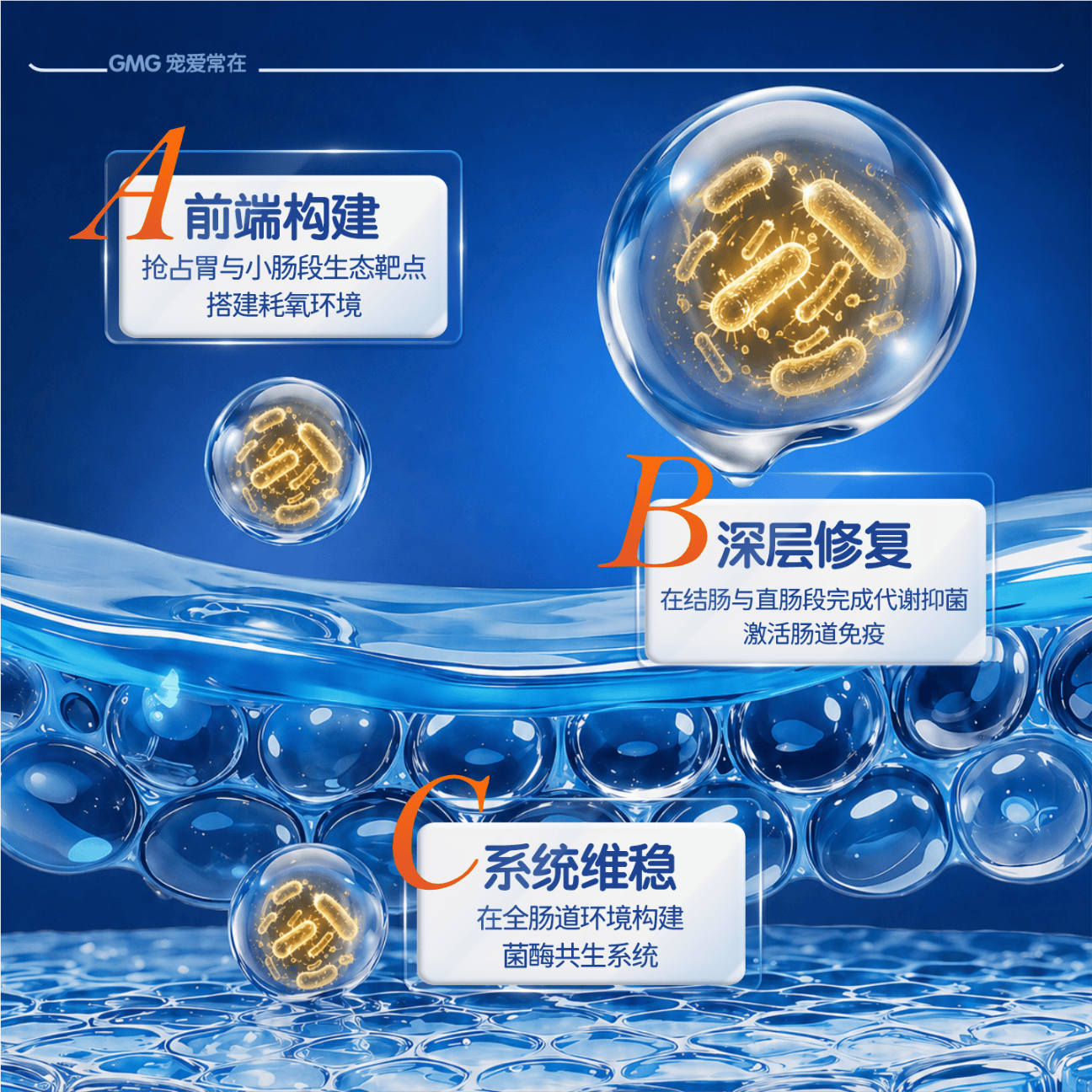 GMG猫咪狗狗活性益生菌宠物调理肠胃呕吐拉稀软便拉肚子腹泻 【调理肠胃】宠物高活性益生菌 猫狗通用 60粒*1瓶