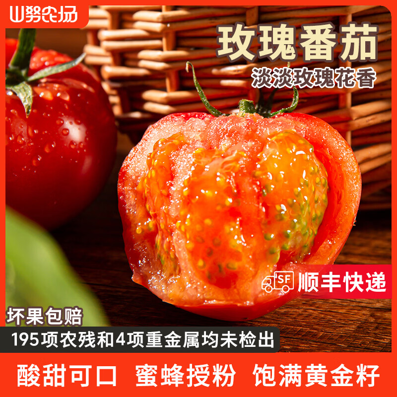 山努农场玫瑰番茄水果自然熟草莓西红柿多汁新鲜小柿子 玫瑰番茄中果 单颗50g+ 4斤