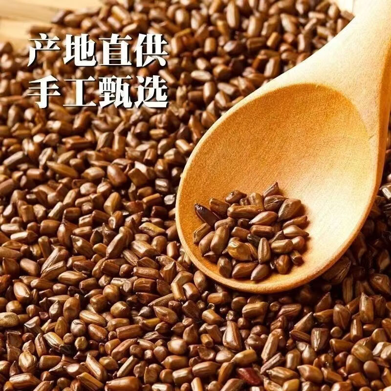 同仁堂（TRT）古茶养仁特级决明子茶大颗粒无杂质炒熟明目养肝中药材养生茶 手工精选野生决明子 250g*4罐