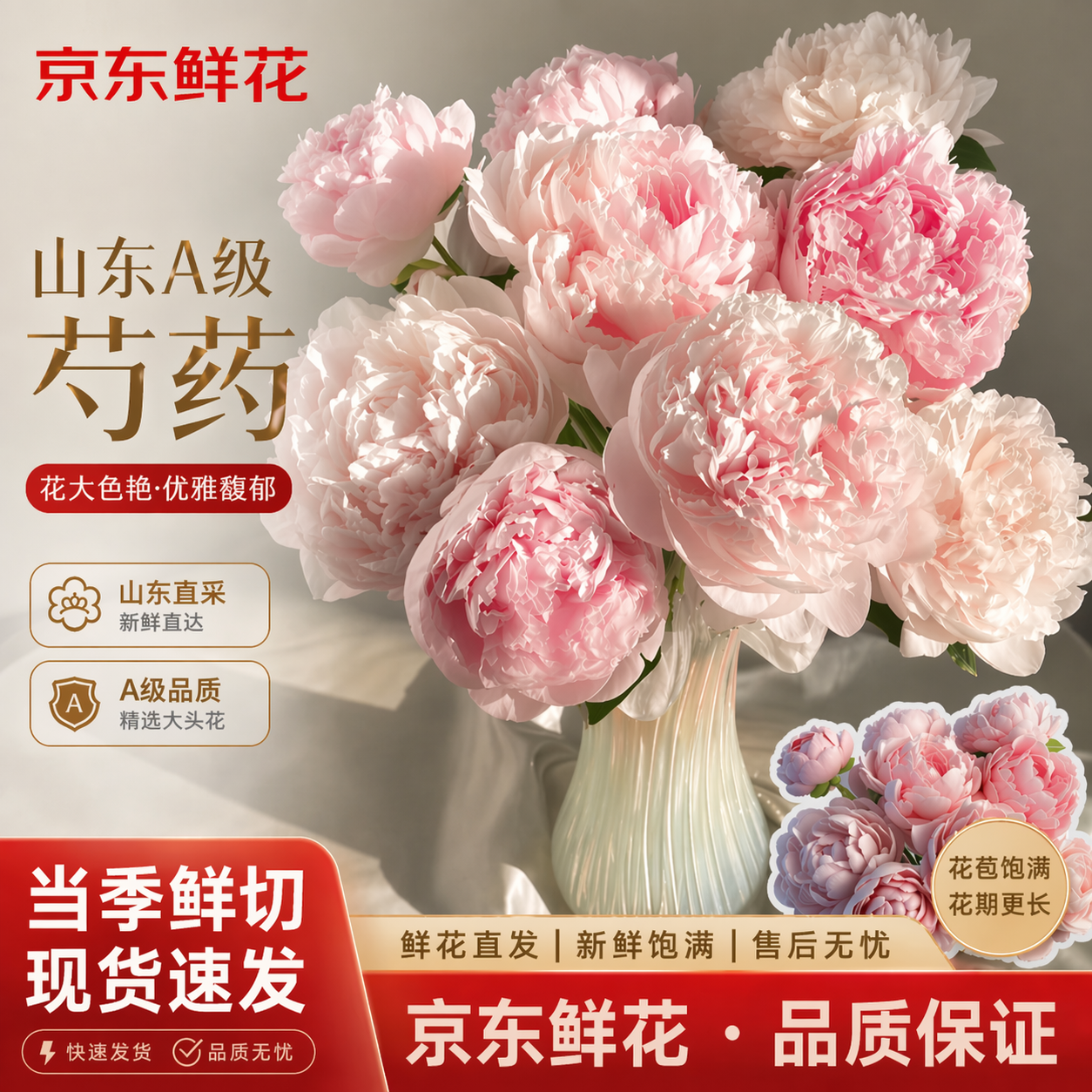 京东鲜花山东重瓣A级大头芍药【粉色/玫红色】随机5枝基地现采源头直发