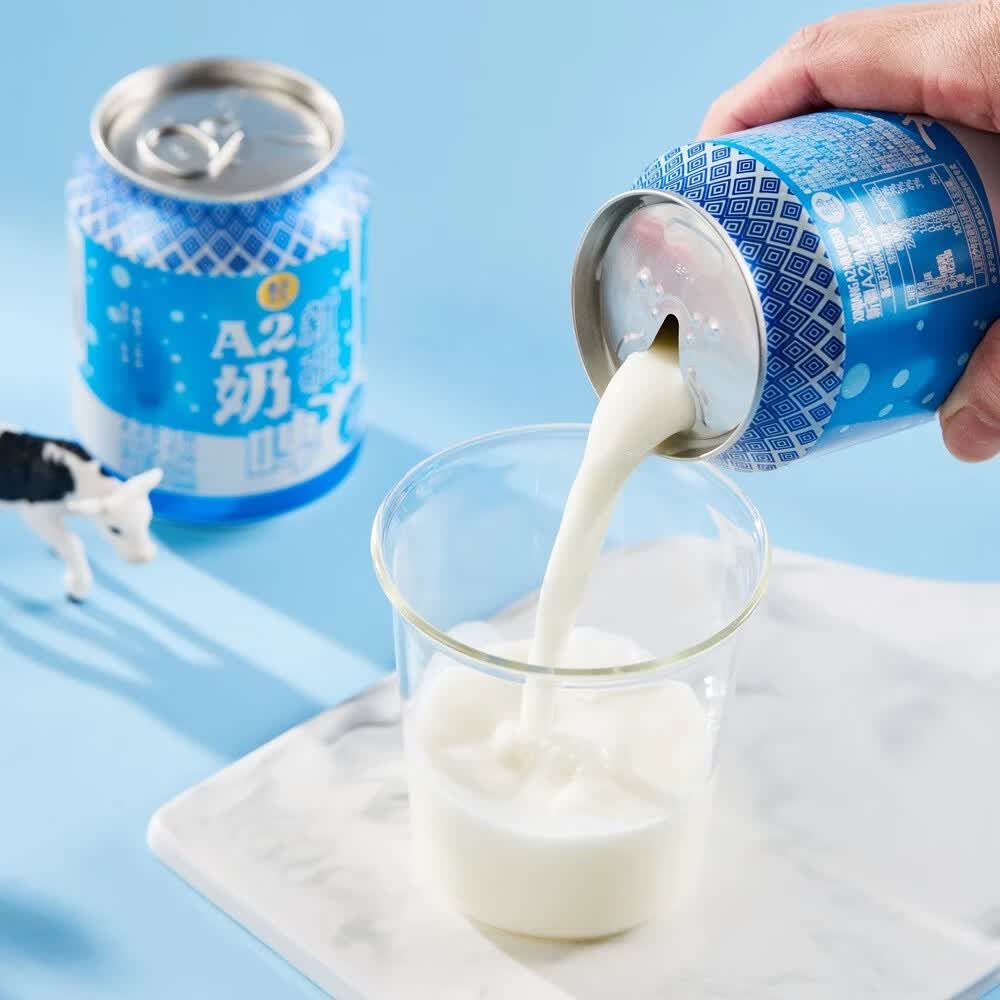 盒马新疆A2奶啤250ml奶香浓郁自然发酵清甜微酸无酒精乳汽乳酸菌饮料 新疆A2奶啤250ml*6罐