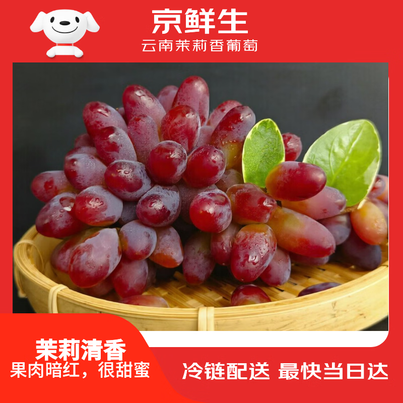 京鲜生 云南茉莉香葡萄 净重1斤装 酸甜口感 易掉粒 产季尝鲜 生鲜水果 