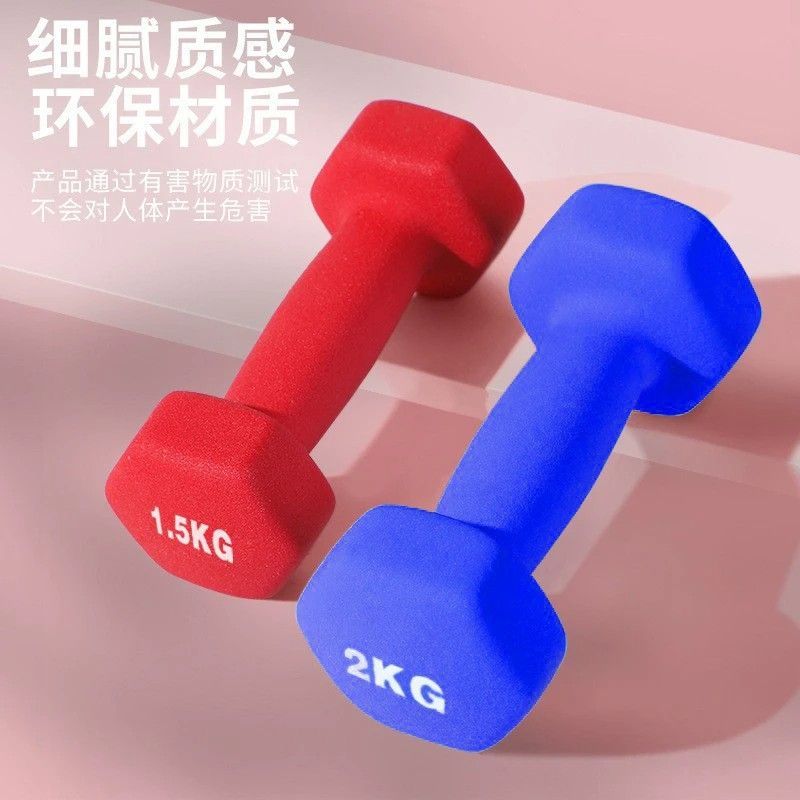 哑铃女士健身家用器材哑铃男士健身家用器材实心家用哑铃2kg一对 紫色 0.5kg仅一只